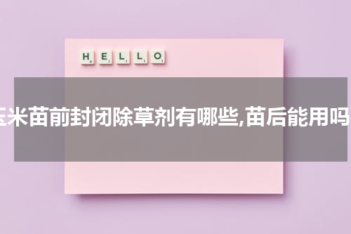 玉米苗前封闭除草剂有哪些,苗后能用吗