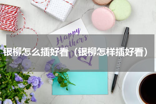 银柳怎么插好看（银柳怎样插好看）