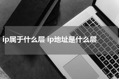 ip属于什么层 ip地址是什么层