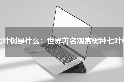 七叶树是什么：世界著名观赏树种七叶树