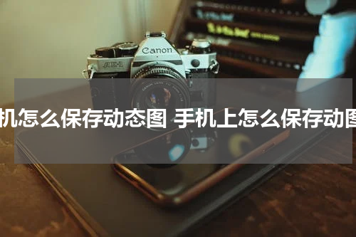 手机怎么保存动态图 手机上怎么保存动图