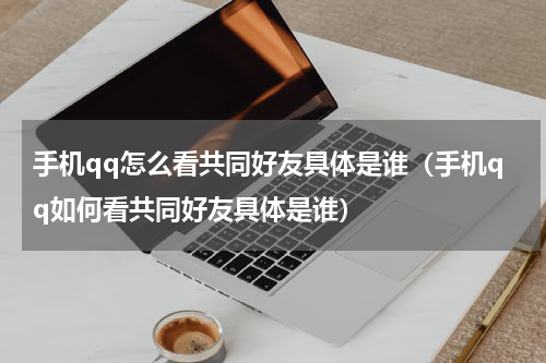 手机qq怎么看共同好友具体是谁（手机qq如何看共同好友具体是谁）