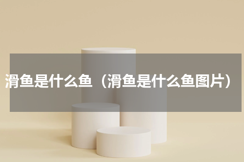 滑鱼是什么鱼（滑鱼是什么鱼图片）
