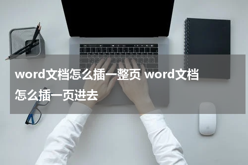 word文档怎么插一整页 word文档怎么插一页进去
