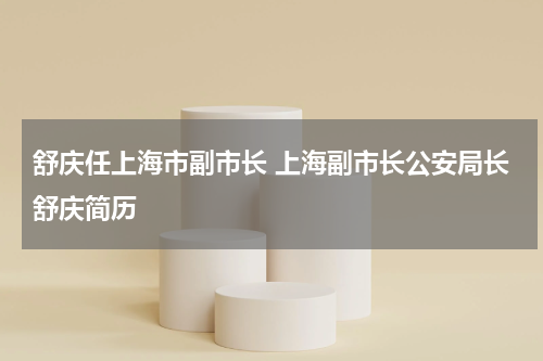 舒庆任上海市副市长 上海副市长公安局长舒庆简历