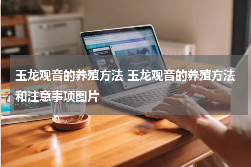 玉龙观音的养殖方法 玉龙观音的养殖方法和注意事项图片