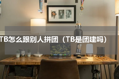TB怎么跟别人拼团（TB是团建吗）