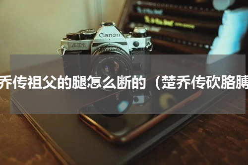 楚乔传祖父的腿怎么断的（楚乔传砍胳膊）