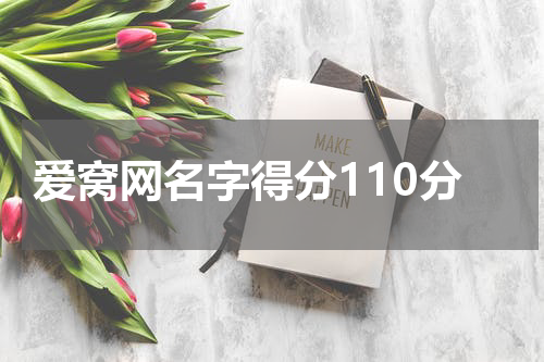 爱窝网名字得分110分