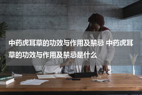 中药虎耳草的功效与作用及禁忌 中药虎耳草的功效与作用及禁忌是什么