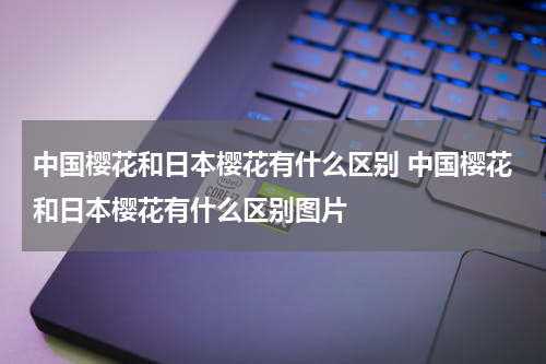 中国樱花和日本樱花有什么区别 中国樱花和日本樱花有什么区别图片