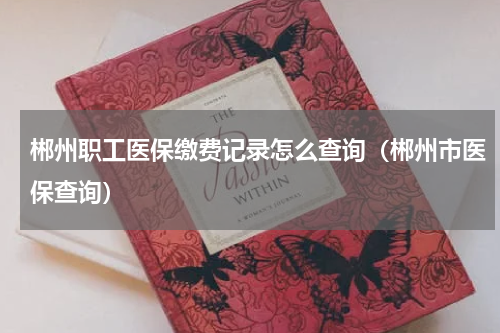 郴州职工医保缴费记录怎么查询（郴州市医保查询）