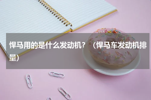 悍马用的是什么发动机？（悍马车发动机排量）