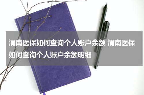 渭南医保如何查询个人账户余额 渭南医保如何查询个人账户余额明细