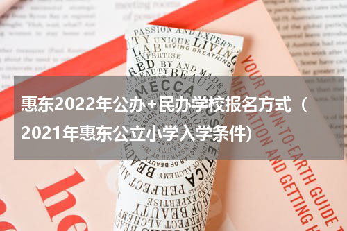 惠东2022年公办+民办学校报名方式（2021年惠东公立小学入学条件）