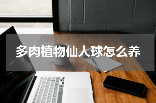 多肉植物仙人球怎么养