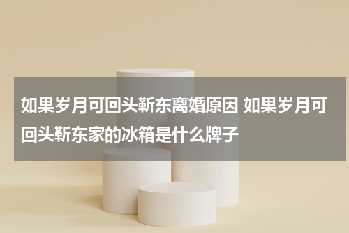 如果岁月可回头靳东离婚原因 如果岁月可回头靳东家的冰箱是什么牌子