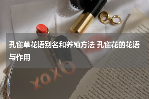 孔雀草花语别名和养殖方法 孔雀花的花语与作用