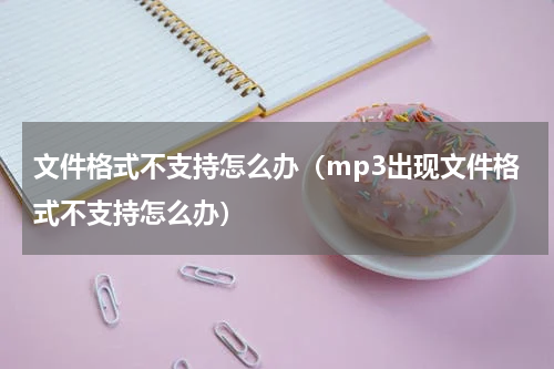 文件格式不支持怎么办（mp3出现文件格式不支持怎么办）