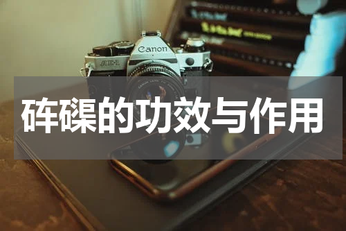 砗磲的功效与作用