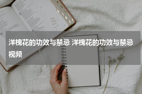 洋槐花的功效与禁忌 洋槐花的功效与禁忌视频