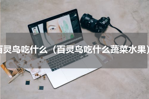 百灵鸟吃什么（百灵鸟吃什么蔬菜水果）