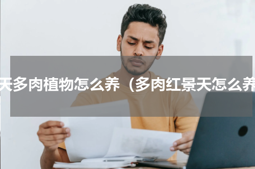 景天多肉植物怎么养（多肉红景天怎么养）