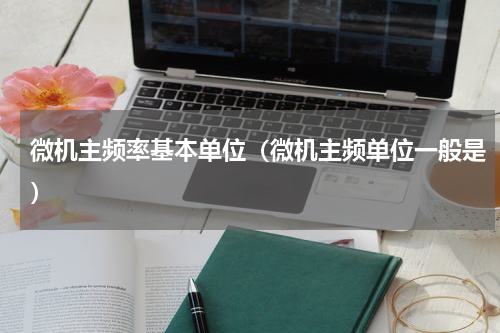 微机主频率基本单位（微机主频单位一般是）