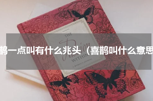 喜鹊一点叫有什么兆头（喜鹊叫什么意思）