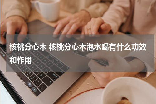 核桃分心木 核桃分心木泡水喝有什么功效和作用