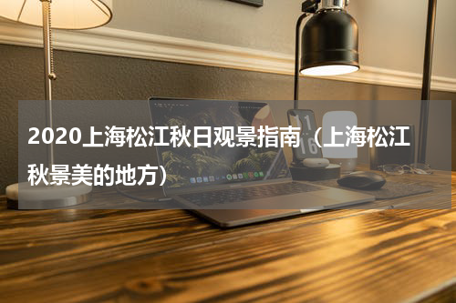 2020上海松江秋日观景指南（上海松江秋景美的地方）