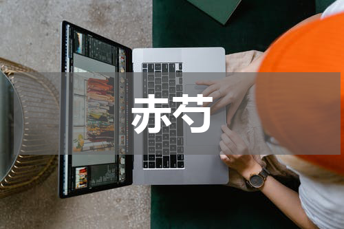 赤芍