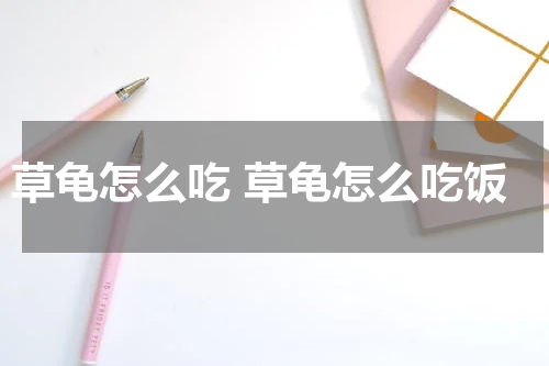 草龟怎么吃 草龟怎么吃饭