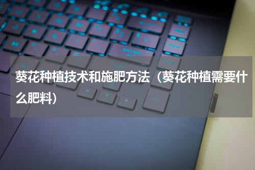 葵花种植技术和施肥方法（葵花种植需要什么肥料）