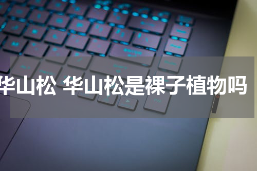 华山松 华山松是裸子植物吗