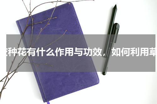 草灰种花有什么作用与功效，如何利用草灰