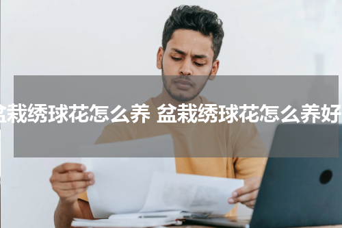 盆栽绣球花怎么养 盆栽绣球花怎么养好