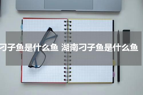 刁子鱼是什么鱼 湖南刁子鱼是什么鱼