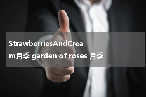 StrawberriesAndCream月季 garden of roses 月季