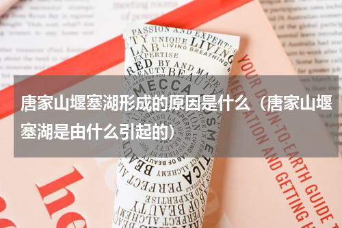唐家山堰塞湖形成的原因是什么（唐家山堰塞湖是由什么引起的）