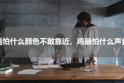 鸡怕什么颜色不敢靠近，鸡最怕什么声音