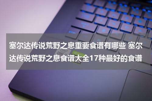塞尔达传说荒野之息重要食谱有哪些 塞尔达传说荒野之息食谱大全17种最好的食谱