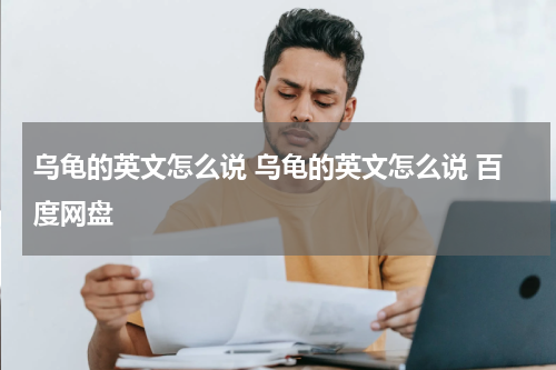 乌龟的英文怎么说 乌龟的英文怎么说 百度网盘