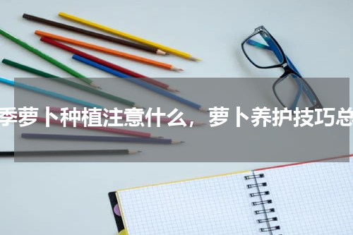 夏季萝卜种植注意什么，萝卜养护技巧总结