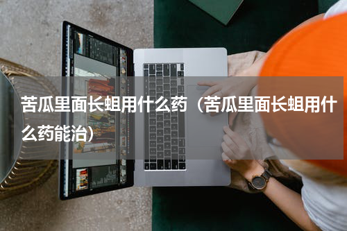 苦瓜里面长蛆用什么药（苦瓜里面长蛆用什么药能治）
