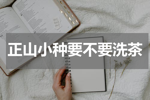 正山小种要不要洗茶