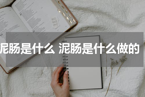 泥肠是什么 泥肠是什么做的