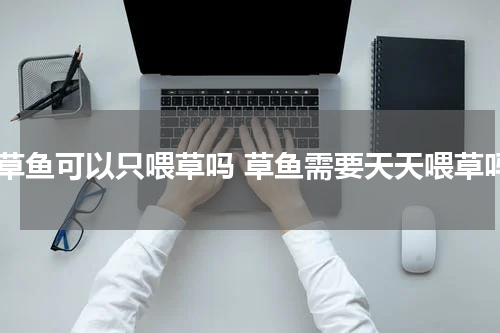 养草鱼可以只喂草吗 草鱼需要天天喂草吗
