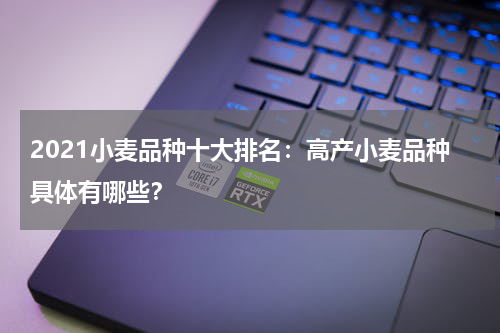 2021小麦品种十大排名：高产小麦品种具体有哪些？