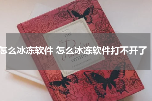 怎么冰冻软件 怎么冰冻软件打不开了